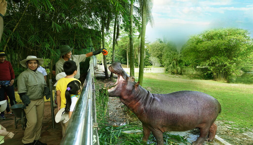 Aktiviti di Paya Indah