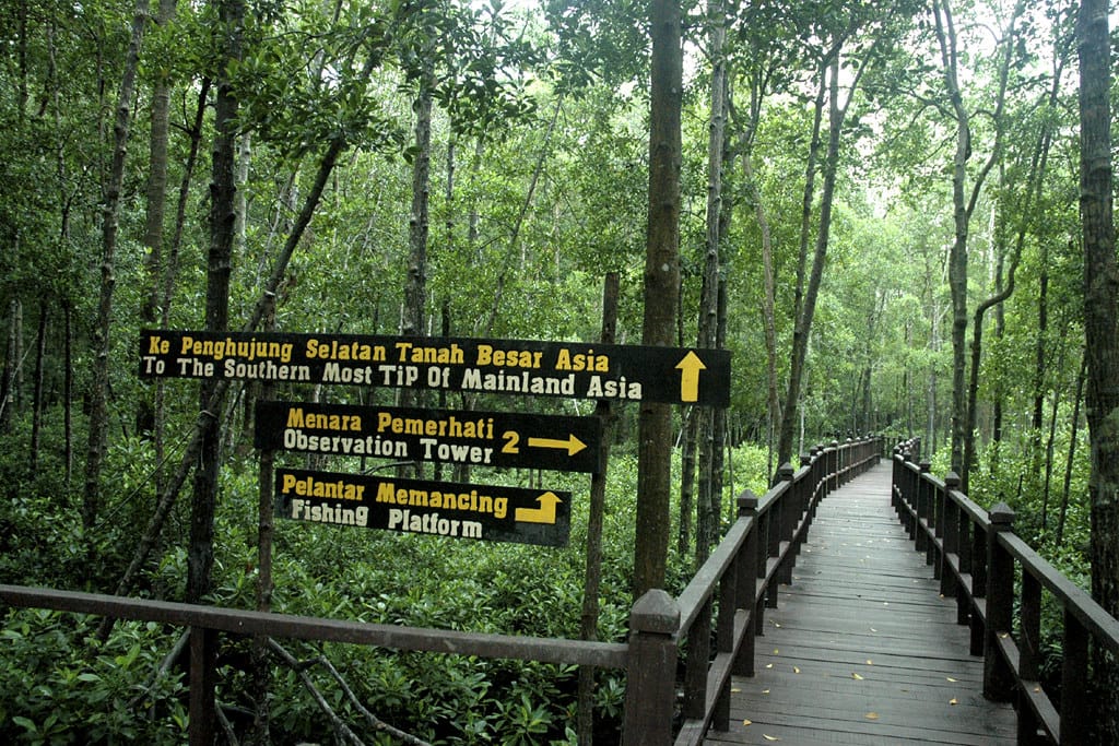 Harga tiket tanjung piai