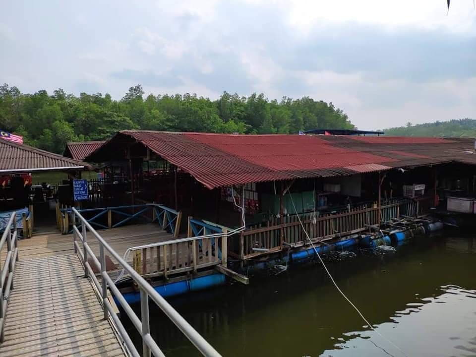 Petua untuk Pengunjung Bujang Fireflies