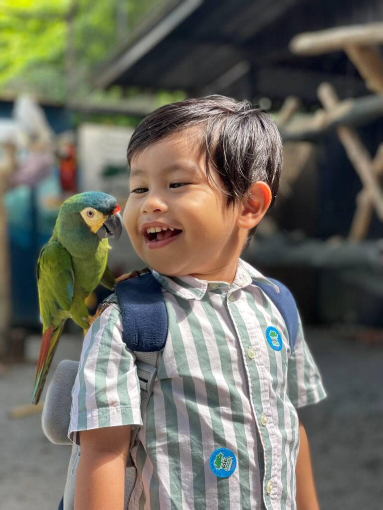 aviary g2g animal garden