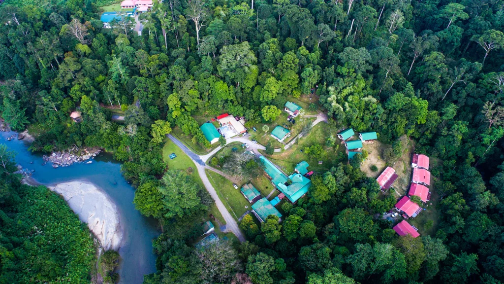 danum valley field centre