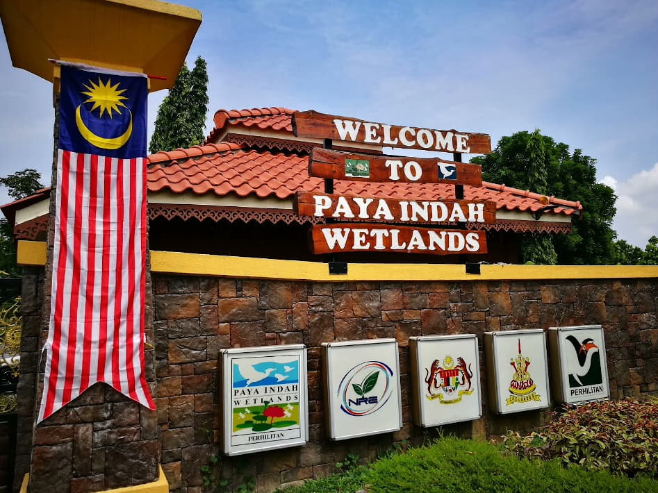 harga tiket paya indah wetlands