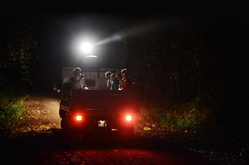 jelajah danum valley malam hari