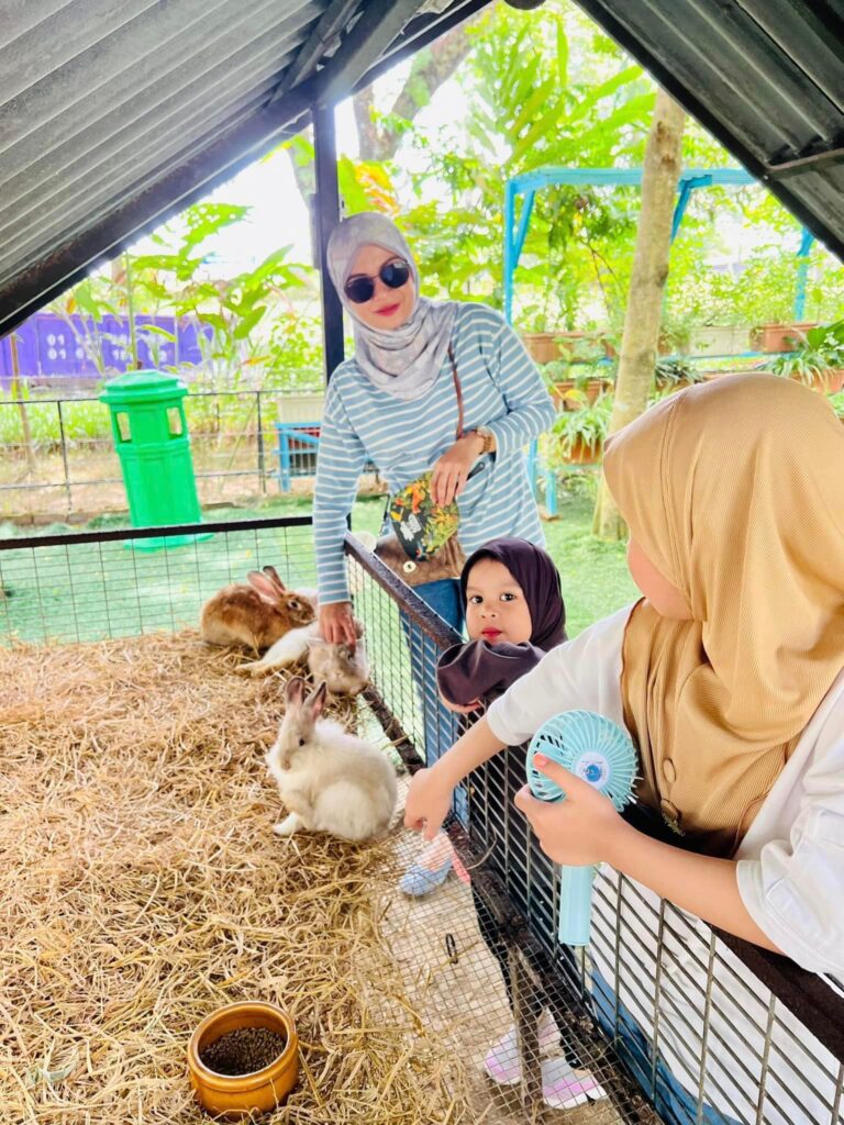 kasih makan arnab