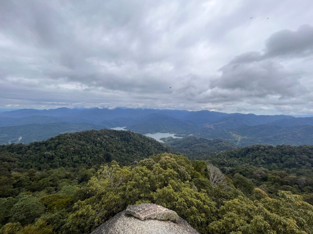 laluan ke kutu hills