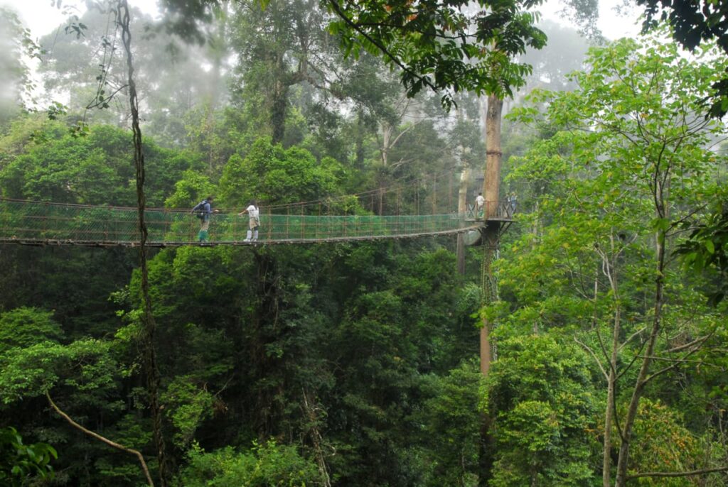 masa terbaik lawatan ke danum valley