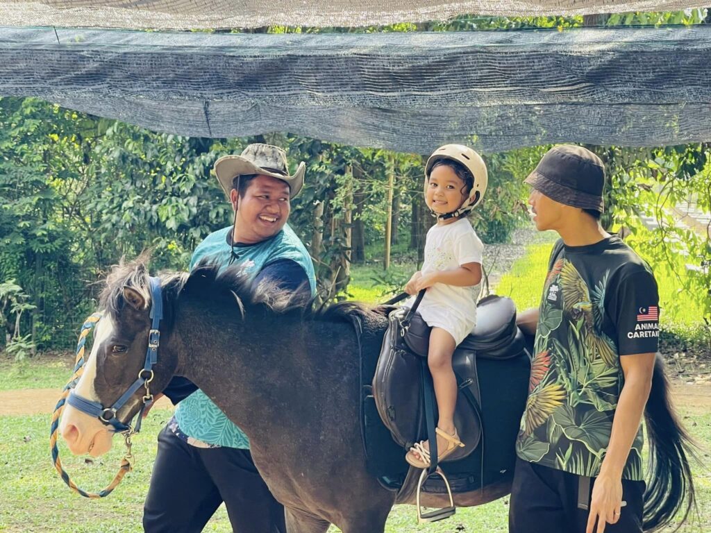 naik kuda poni