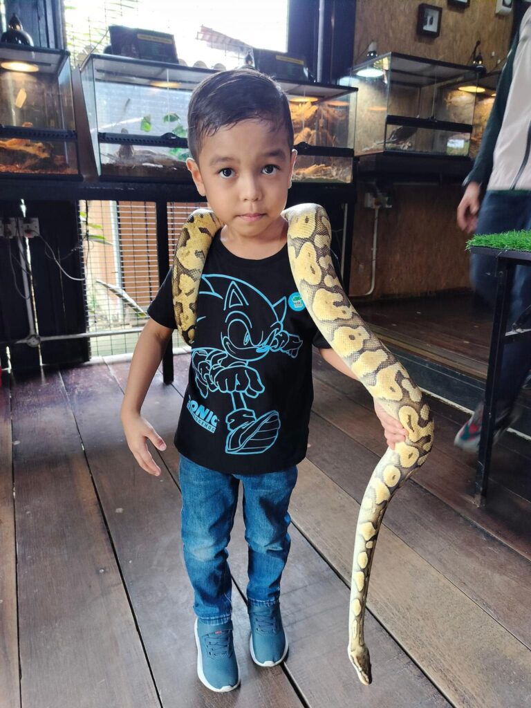 reptil di G2G