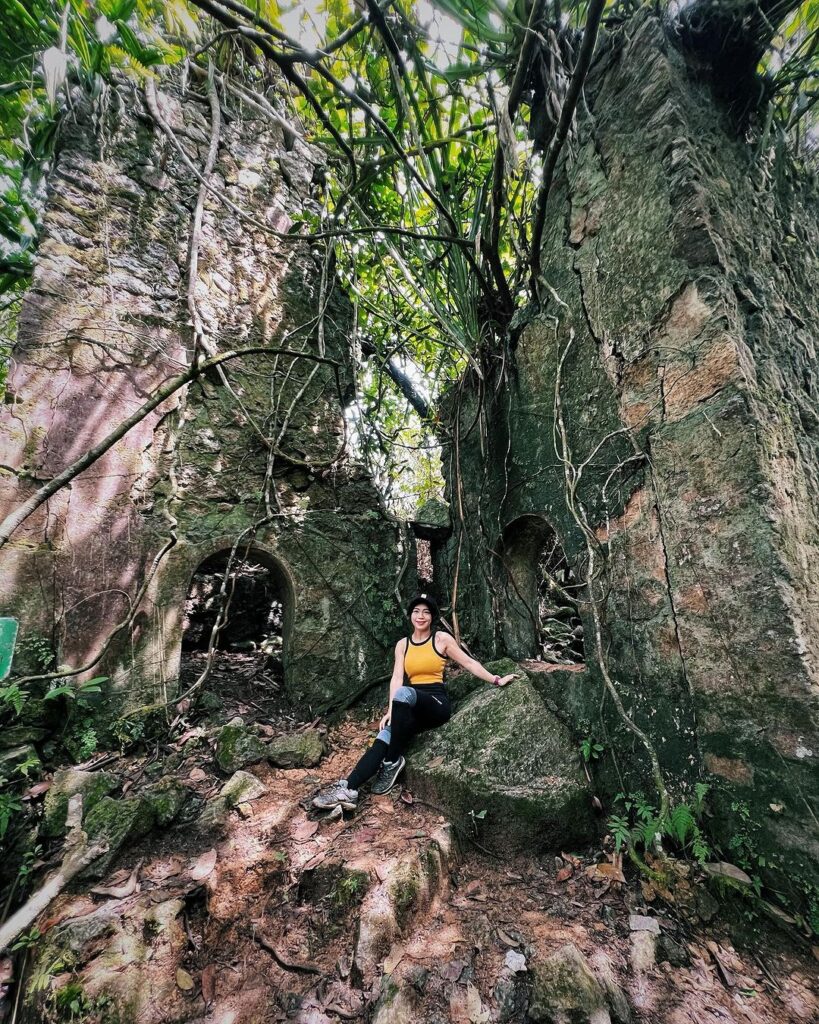 tarikan bukit kutu