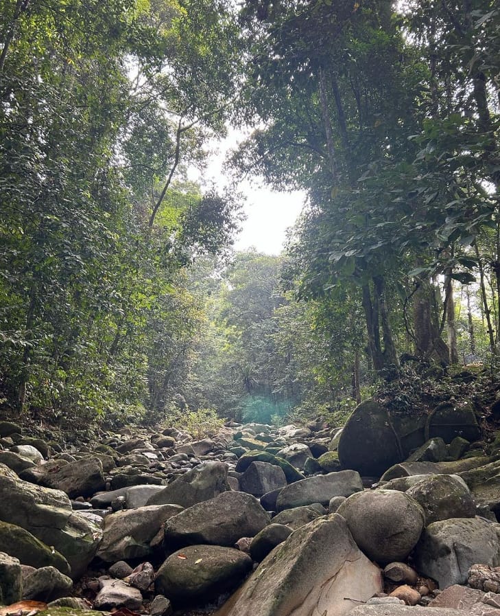 aktiviti taman keluarga matang