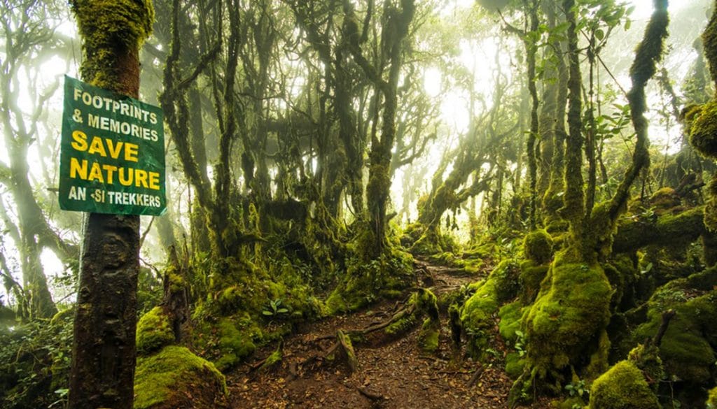 cara ke gunung irau