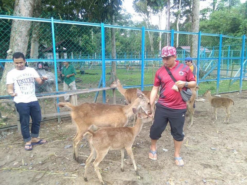 disiniland agrofarm