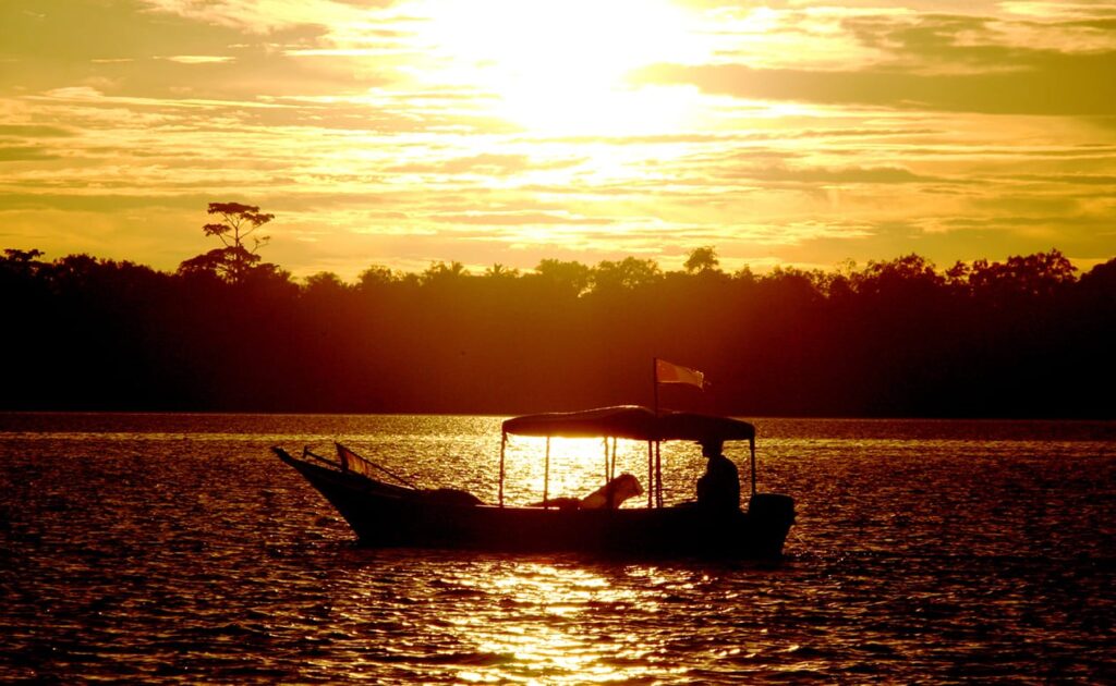 evening cruise kuching wetlands