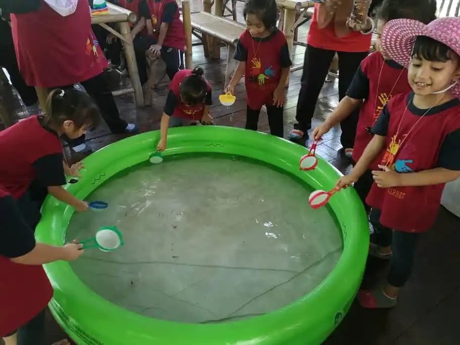 fish pond