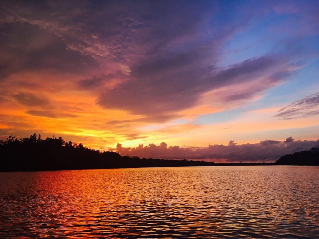 harga tiket kuching wetlands national park