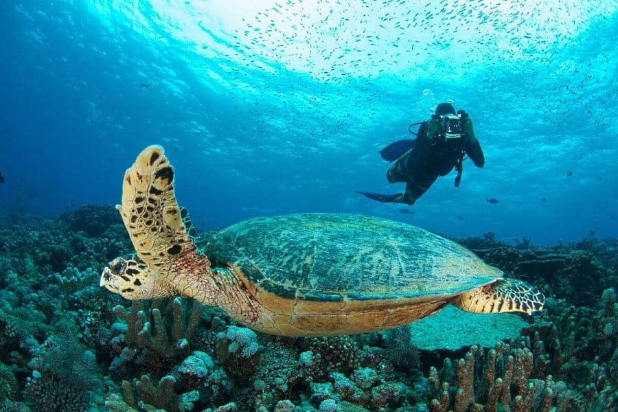 harga tiket pulau layang-layang