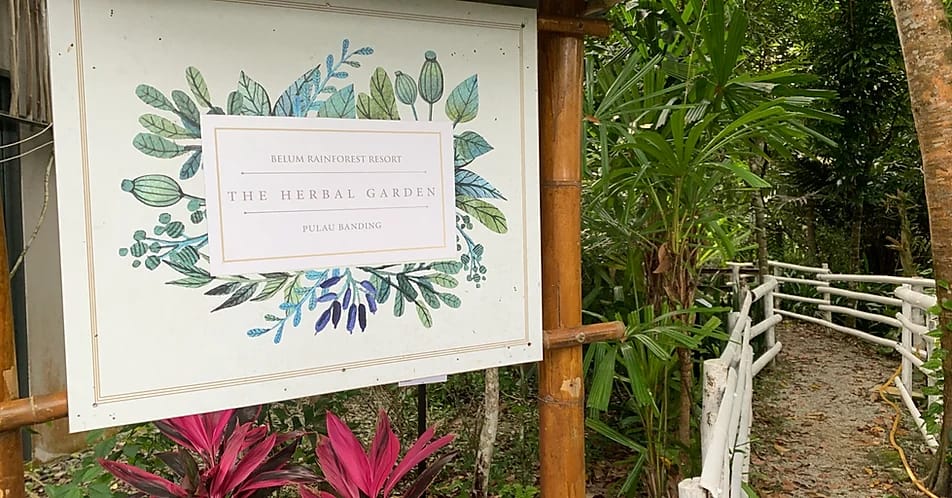 herbal garden