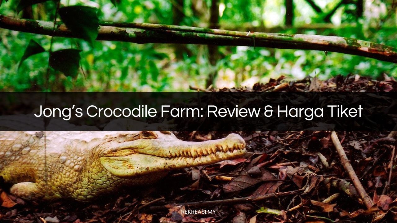 jong's crocodile farm