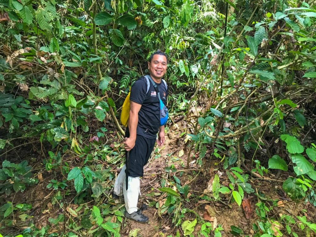 jungle trekking tabin