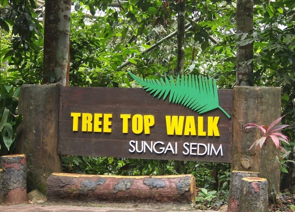 laluan tree top walk sungai sedim