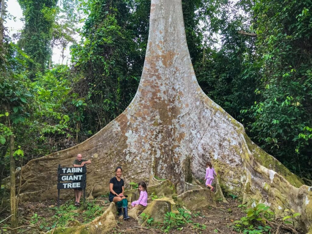 lokasi tabin wildlife