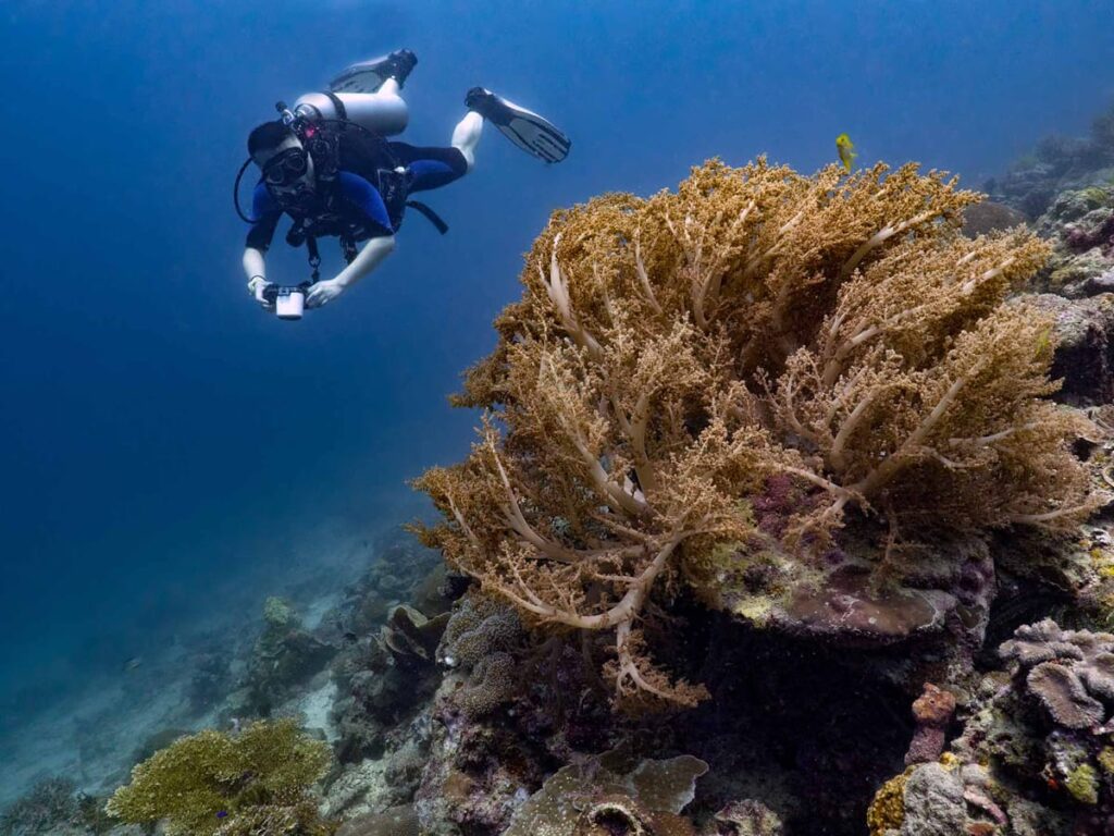 mataking island dive