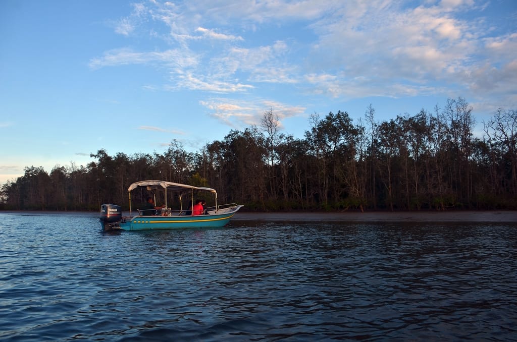morning cruise kuching wetlands