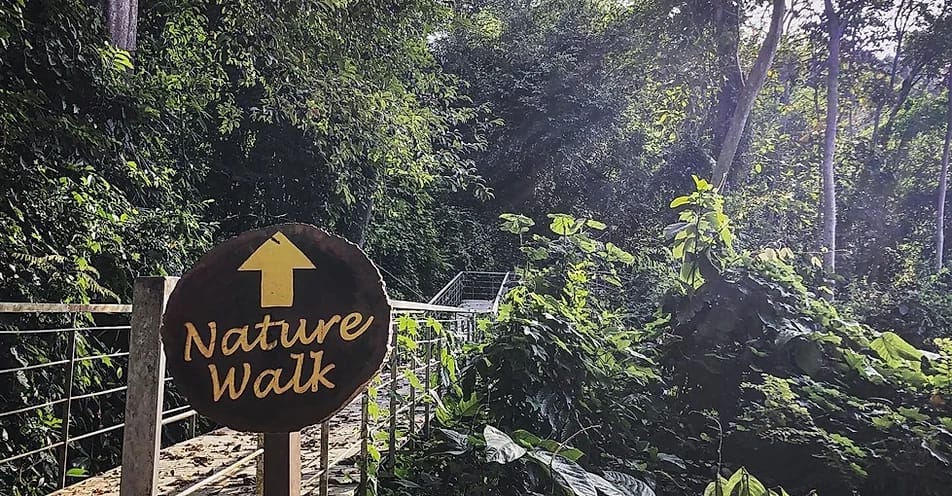 nature walk