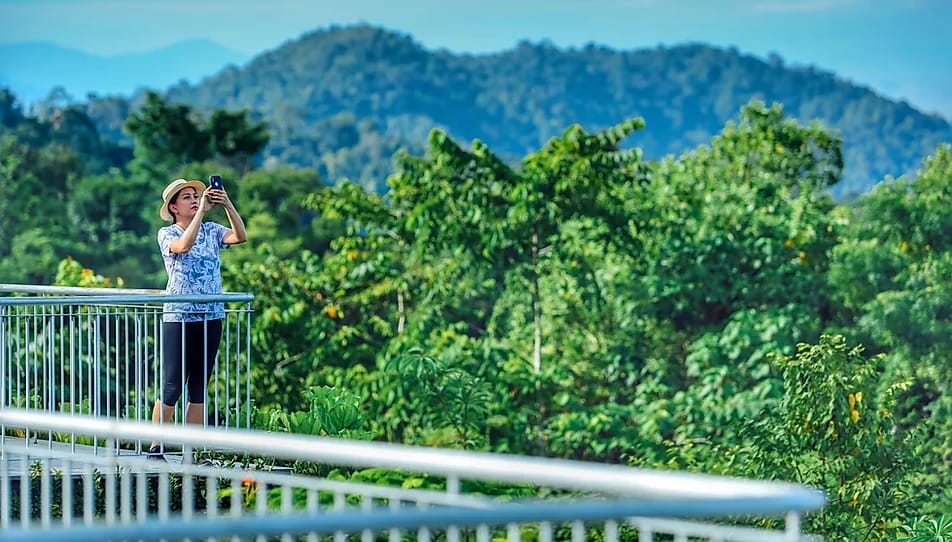 rooftop belum rainforest resort