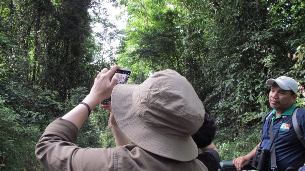 tabin nature photography