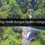 tree top walk sungai sedim
