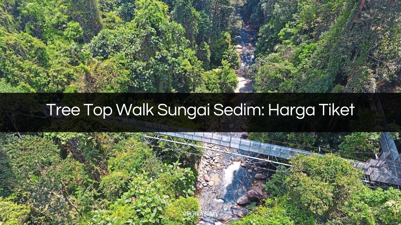 tree top walk sungai sedim