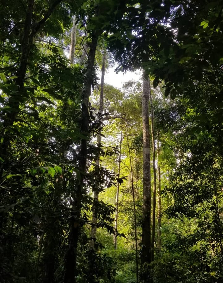 waktu operasi taman keluarga matang