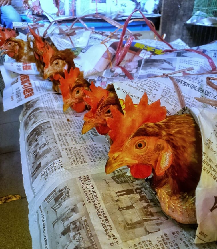 yang dijual di sibu market