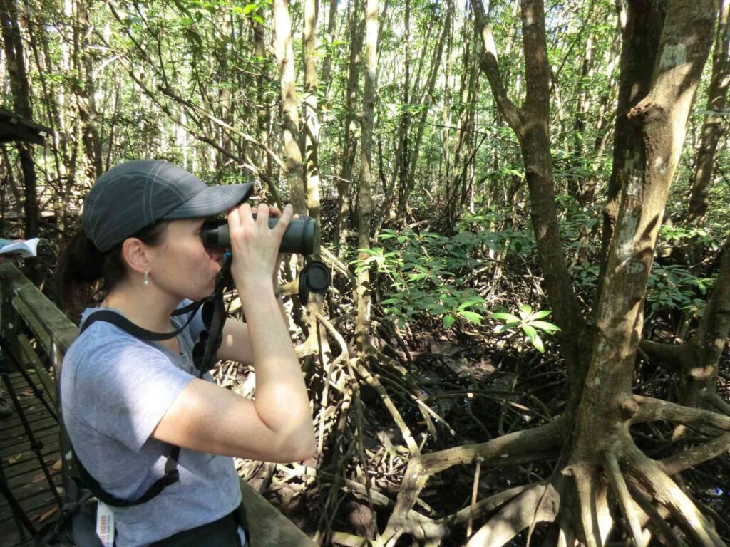 aktiviti kota kinabalu wetlands centre