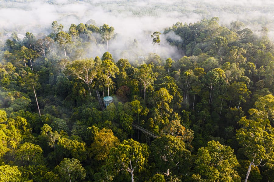 aktiviti maliau basin