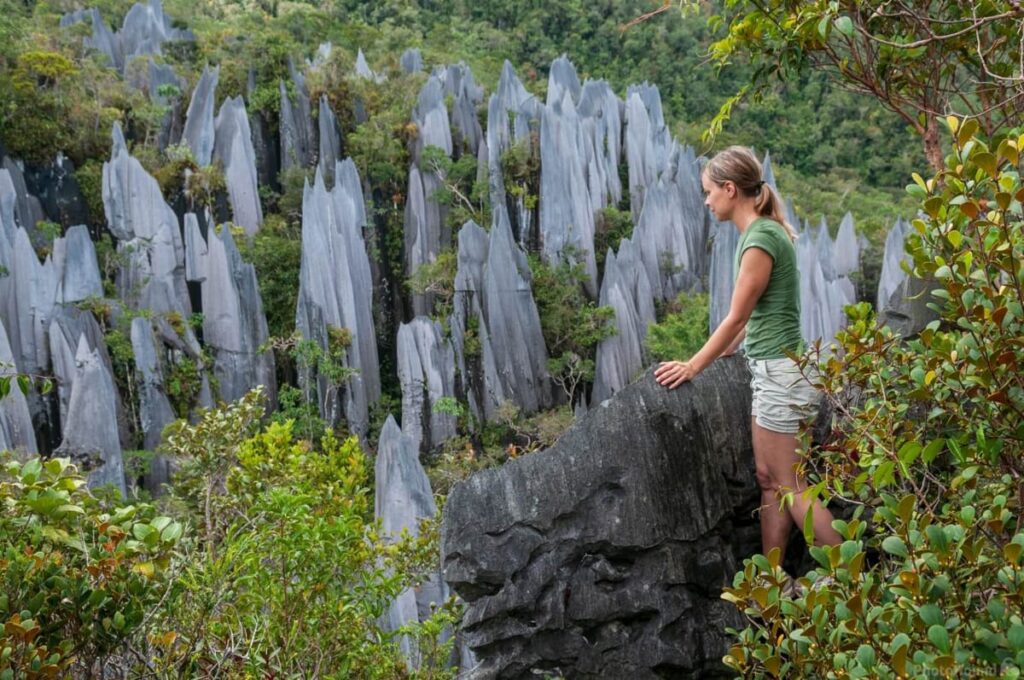 aktiviti taman negara mulu