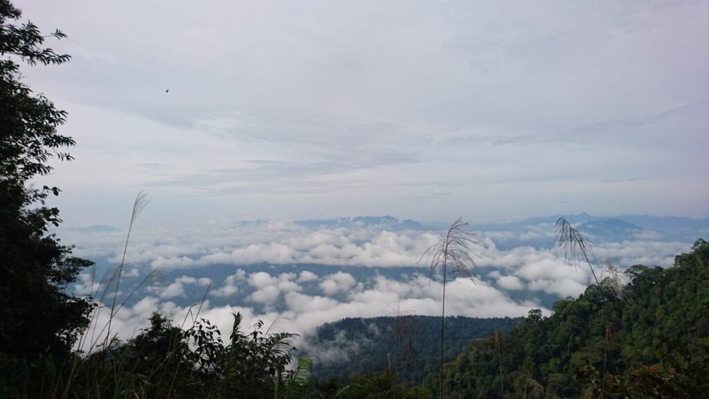 harga tiket kalimantan view point