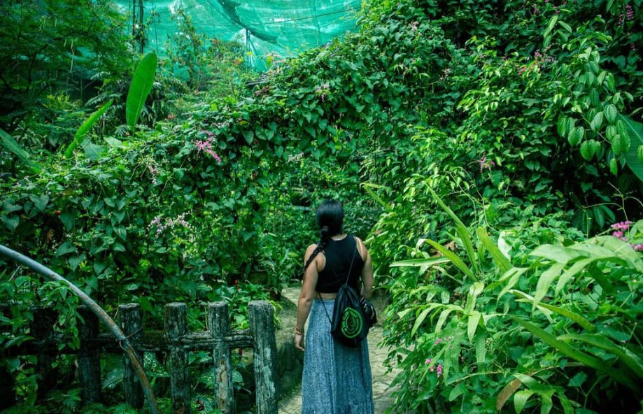 hargat tiket taman rama rama kl
