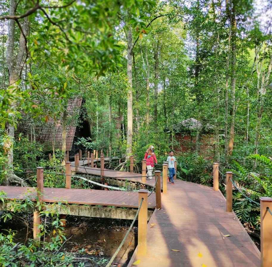 kemudahan mangrove forest reserve