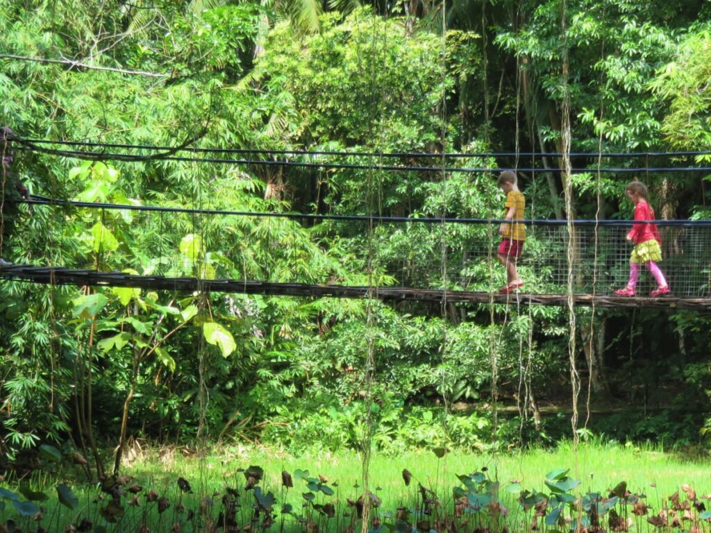laluan kota kinabalu wetland