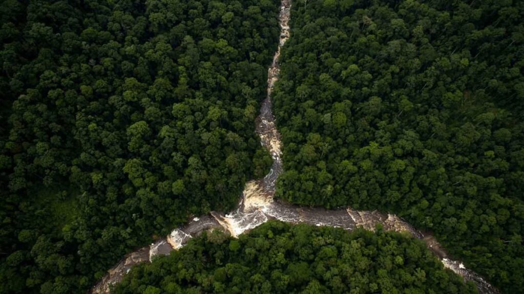 laluan maliau basin