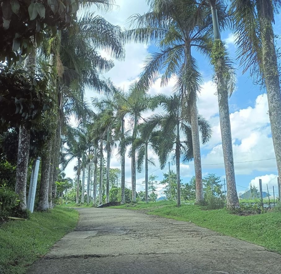 lokasi balung resort