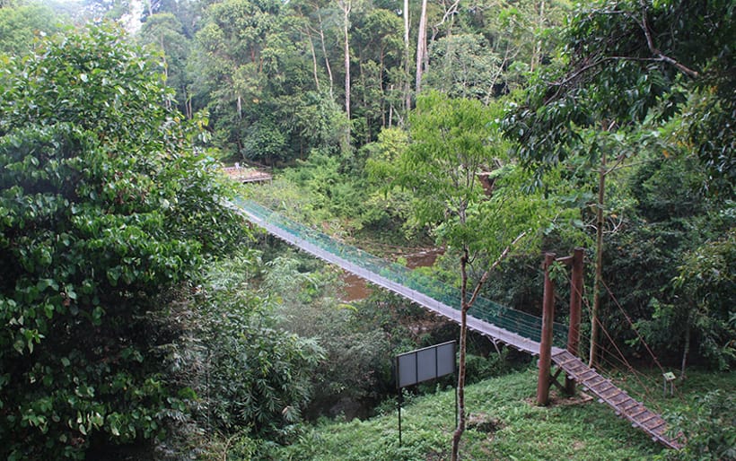 lokasi maliau basin