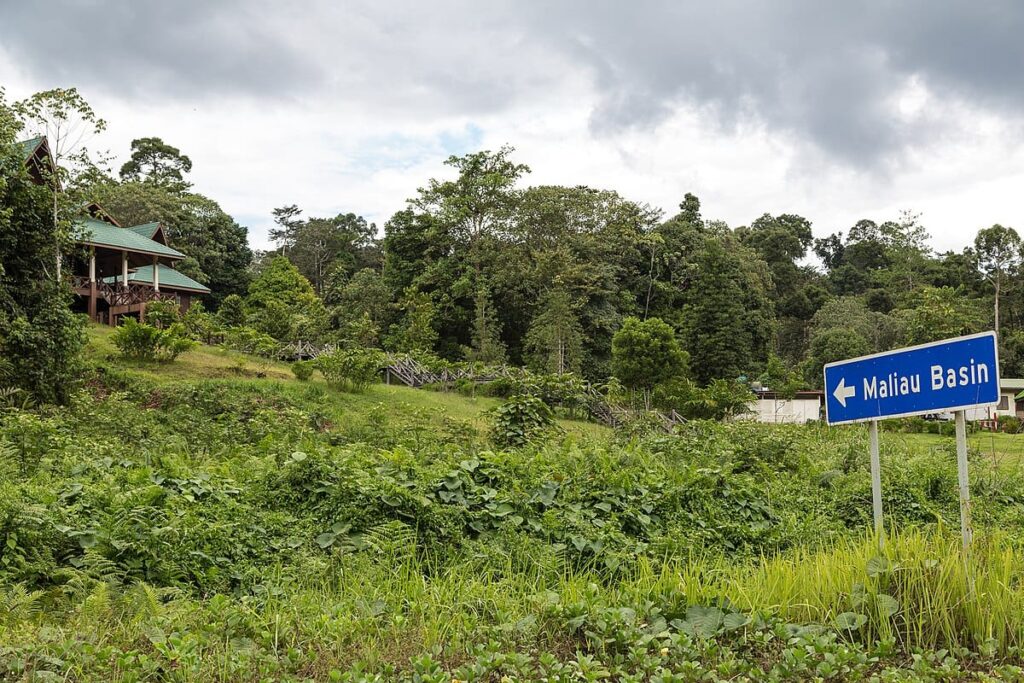 maliau basin conservation area sabah malaysia