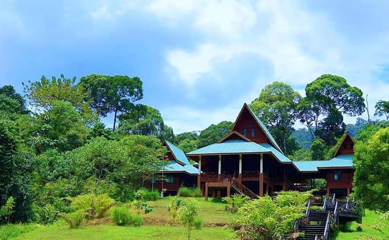 penginapan maliau basin