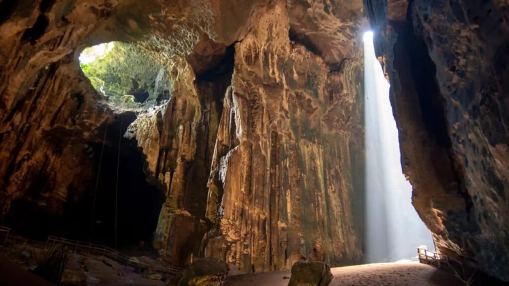 tarikan gomantong cave