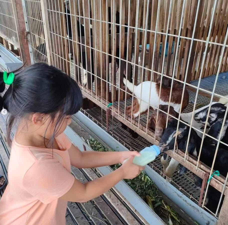 waktu operasi ostrich land semenyih