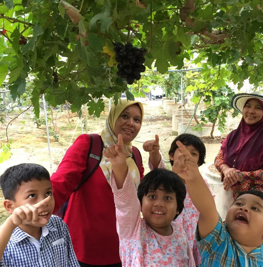 aktiviti saloma vineyard