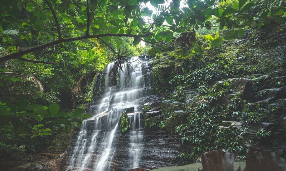 harga tiket taman negara kubah